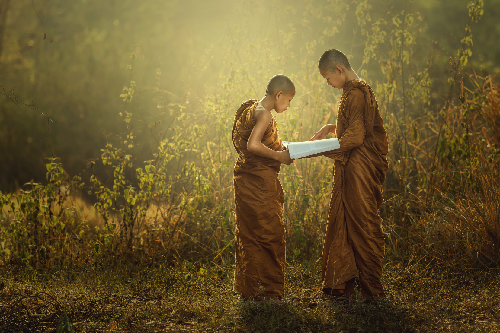 Novice Monk teaching.